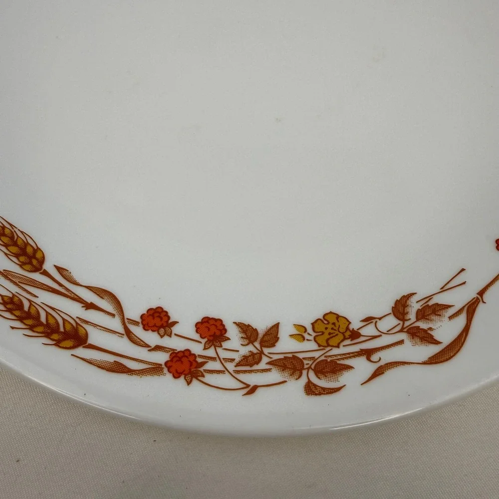 Corelle Autumn Harvest Dinner Plates Set of 4 Wheat Berries Vitrelle 10.25in